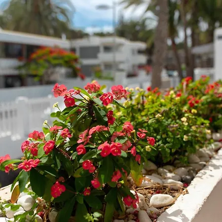 Apartment Maypa 2 Salitre *